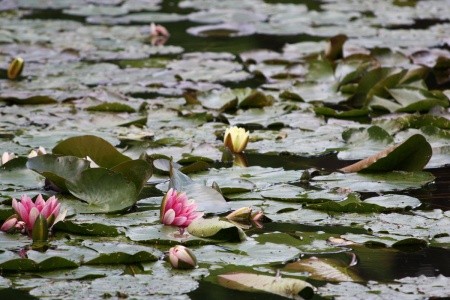 To nejkrásnější z Normandie - letecky - 2