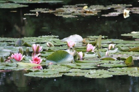 To nejkrásnější z Normandie - letecky - 7