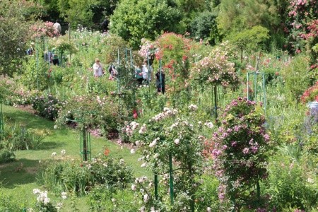 To nejkrásnější z Normandie - 8