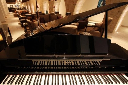 Arkin Palm Beach - 18