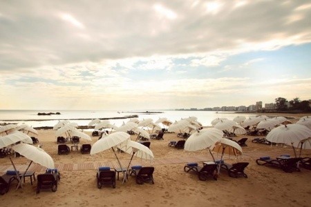 Arkin Palm Beach - 35