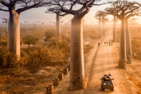 Objevte ostrov zázraků: Madagaskar vás okouzlí nejen baobaby 