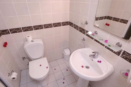 Ares Blue (Ex.larissa Blue) - 32