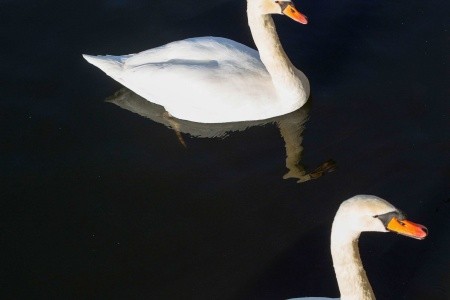 Francúzsko Paríž Ibis Budget Paris Porte D'orléans 5 dňový pobyt Raňajky Letecky Letisko: Praha January 2026 ( 1/01/26- 5/01/26)