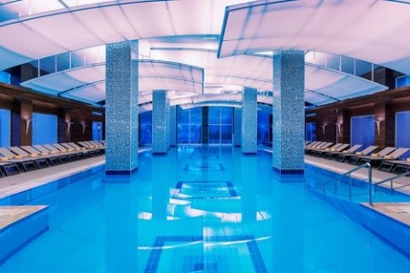 Papillon Ayscha - 99