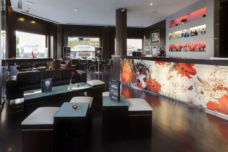 Occidental Santa Cruz Contemporáneo - 41