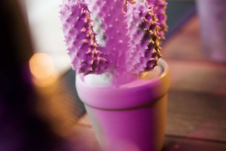 Česká republika Praha a okolie Pentahotel Prague 6 dňový pobyt Raňajky Vlastná October 2026 ( 1/10/26- 6/10/26)