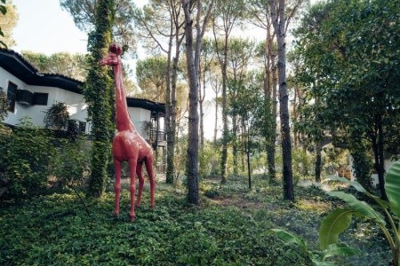 Selectum Family Resort Belek - 23