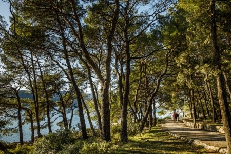 Chorvátsko Hvar Valamar Trim Sunny Apartments 12 dňový pobyt Polpenzia Letecky Letisko: Praha August 2025 (20/08/25-31/08/25)