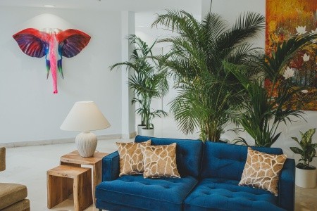 Španielsko Andalúzia Alay 5 dňový pobyt Raňajky Letecky Letisko: Ostrava June 2026 ( 6/06/26-10/06/26)