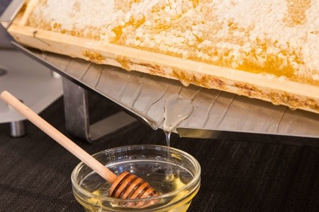 Best Western Plus Chc Florence - 59