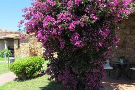 Taliansko Sardínia / Sardegna Li Suari Hotel 11 dňový pobyt Raňajky Letecky Letisko: Praha September 2025 (27/09/25- 7/10/25)