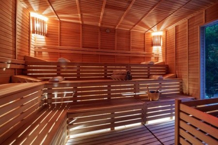 Papillon Ayscha - 110