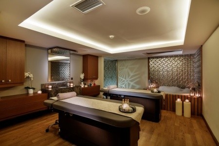 Papillon Ayscha - 113