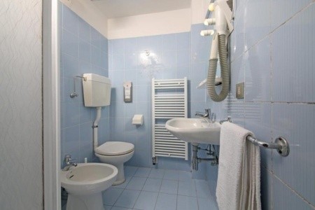 Stella Alpina (Bellamonte) - 6