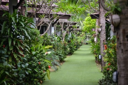 Phangan Bayshore Resort