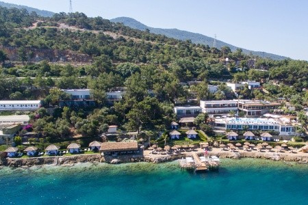 Sarpedor Boutique