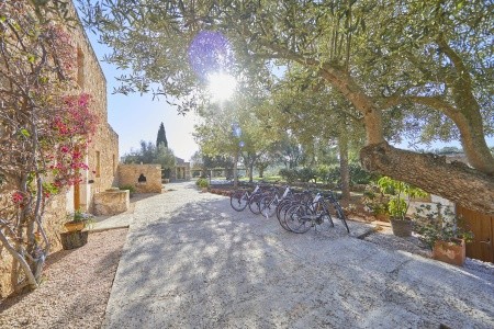 Son Penya Petit (Sant Llorenç Des Cardassar)