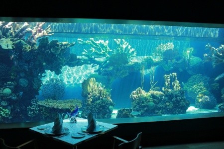 Mardan Palace (Ex Titanic) - 40