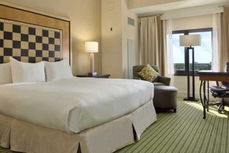 Hilton Orlando Lake Buena Vista - 17