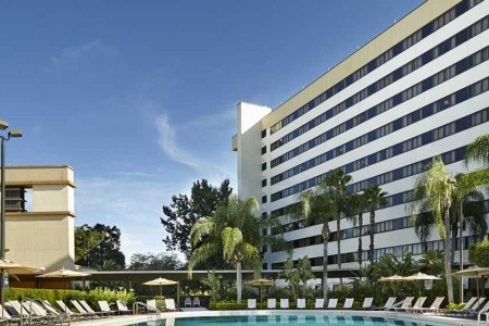 Hilton Orlando Lake Buena Vista - 19