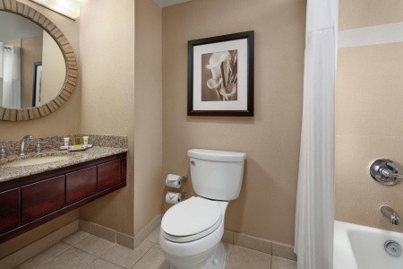 Hilton Orlando Lake Buena Vista - 27