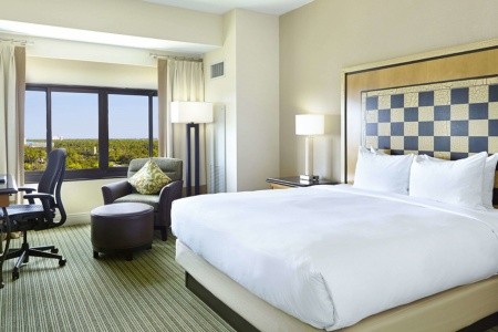 Hilton Orlando Lake Buena Vista - 38