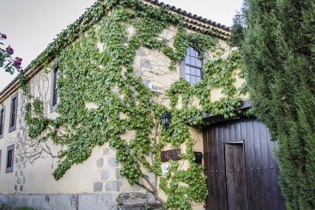 Kanárske ostrovy Gran Canaria Rural Las Calas (Vega De San Mateo) 11 dňový pobyt Raňajky Letecky Letisko: Viedeň July 2025 (11/07/25-21/07/25)