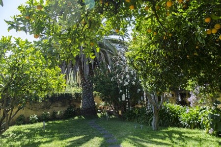 Kanárske ostrovy Gran Canaria Rural Las Calas (Vega De San Mateo) 11 dňový pobyt Raňajky Letecky Letisko: Viedeň July 2025 (11/07/25-21/07/25)
