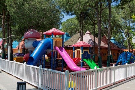 Papillon Ayscha - 116