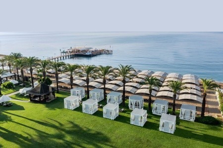 Papillon Ayscha - 117