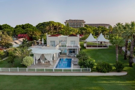 Papillon Ayscha - 119