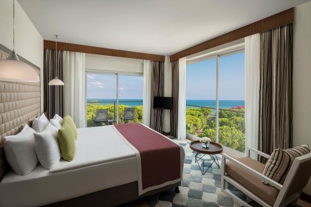 Papillon Ayscha - 128