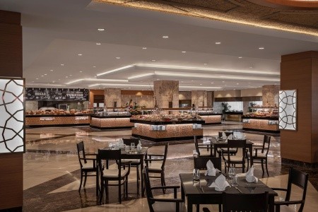 Papillon Ayscha - 138