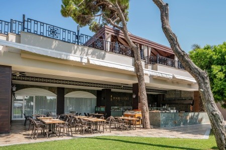 Papillon Ayscha - 139