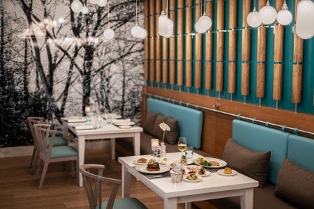 Papillon Ayscha - 142