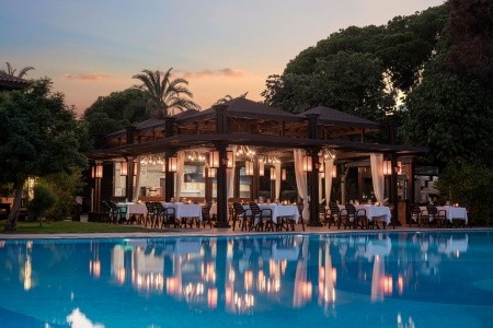 Papillon Ayscha - 145