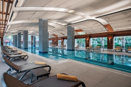 Papillon Ayscha - 148