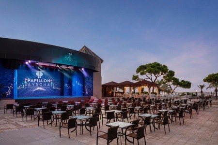 Papillon Ayscha - 155