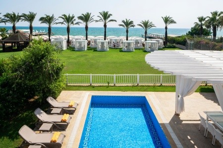 Papillon Ayscha - 162