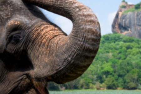 Srí Lanka: Dokonalá terapie přírodou