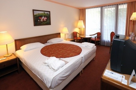 Ensana Thermal Sarvar Health (Ex. Danubius Health Spa Resort Sarvar) - 17