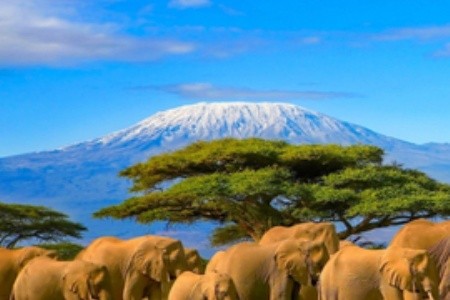 Africká divočina ve stínu Kilimandžára aneb 7 důvodů, proč vyrazit do Tanzanie
