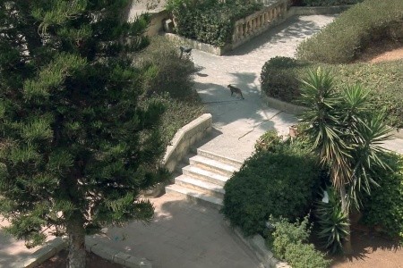 Urban Valley Resort & Spa - 36