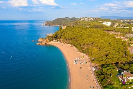 Htop Palm Beach - 44