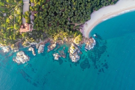 Htop Palm Beach - 46