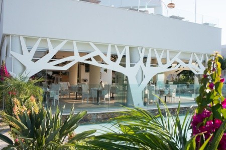 The Royal Blue - 169