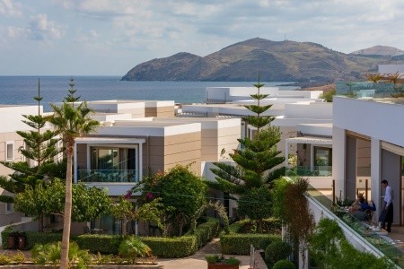 The Royal Blue - 174