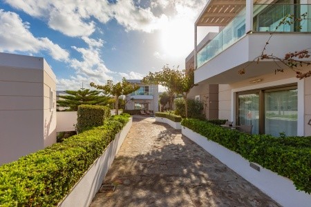 The Royal Blue - 176