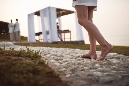 The Royal Blue - 194